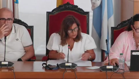 Pleno Ordinario 04/08/2026